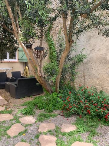 Appartement L'olivier De Nonna Gruissan